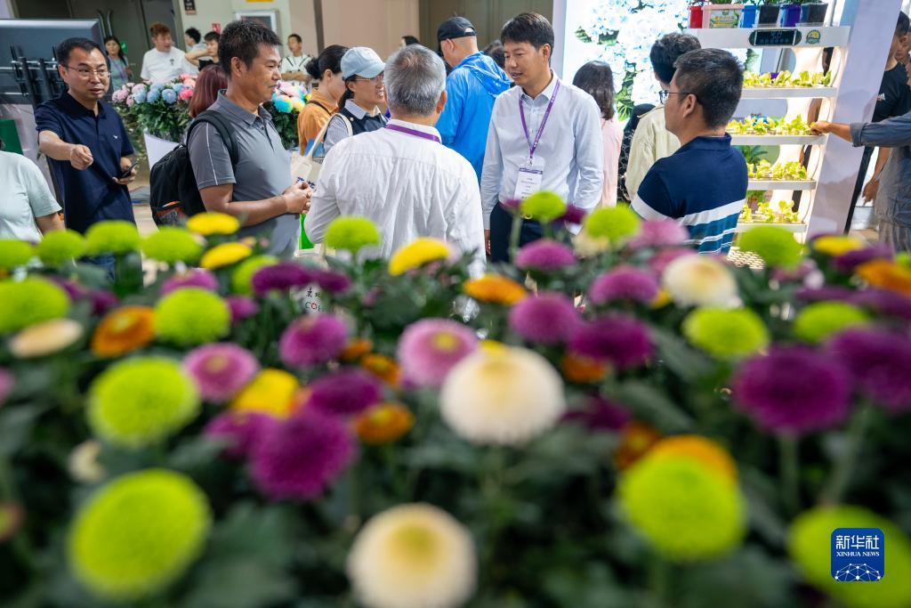 长乐坊游戏官网